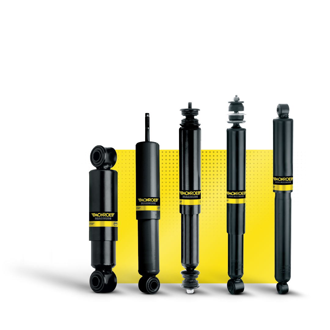 amortizatory rol amortizatorov i ih zamena