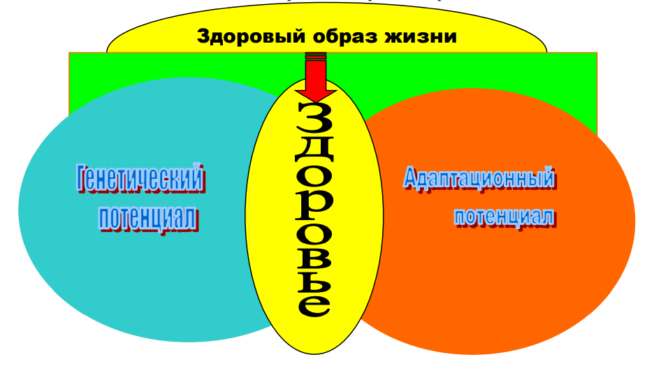 perspektivy razvitiya rynka zapchastey dlya mikrovolnovok